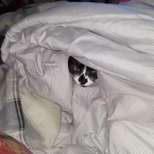 Meet your Posher, Edwin